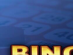 Bingo 3 image