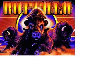 Buffalo