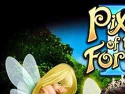 Pixies of the Forest II image