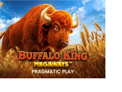 Buffalo King Megaways image